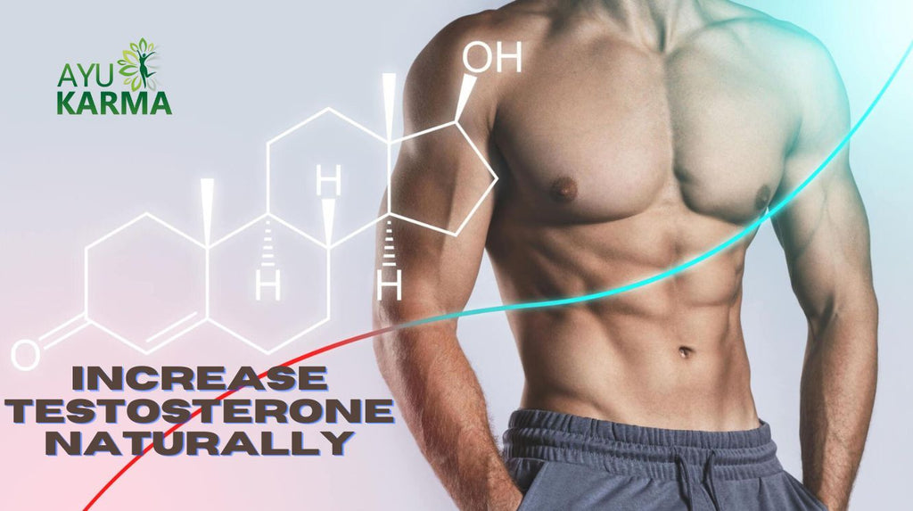 Foods to Increase Testosterone levels Naturally, Boost Sexual Vitality