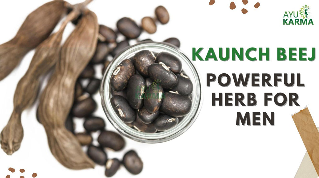 "Unlocking the Health Secrets of Kaunch Beej: Powerful Herb for Men Vitalty